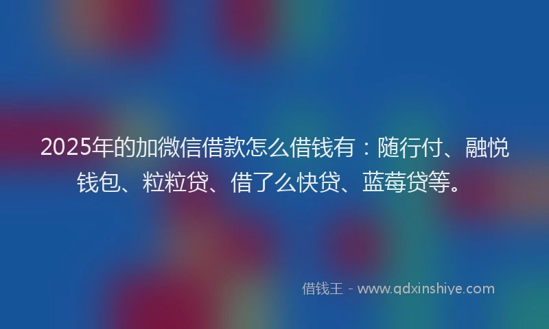 2025年的加微信借款怎么借钱有：随行付、融悦钱包、粒粒贷、借了么快贷、蓝莓贷等。