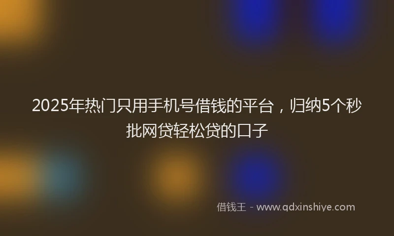2025年热门只用手机号借钱的平台，归纳5个秒批网贷轻松贷的口子