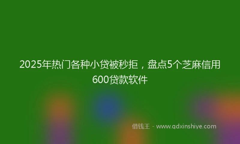 2025年热门各种小贷被秒拒，盘点5个芝麻信用600贷款软件