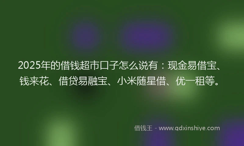 2025年的借钱超市口子怎么说有：现金易借宝、钱来花、借贷易融宝、小米随星借、优一租等。