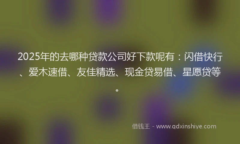 2025年的去哪种贷款公司好下款呢有：闪借快行、爱木速借、友佳精选、现金贷易借、星愿贷等。