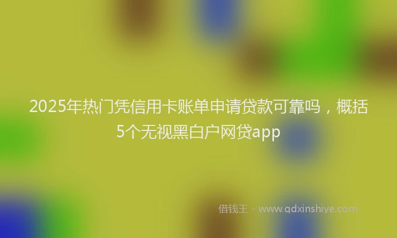 2025年热门凭信用卡账单申请贷款可靠吗，概括5个无视黑白户网贷app