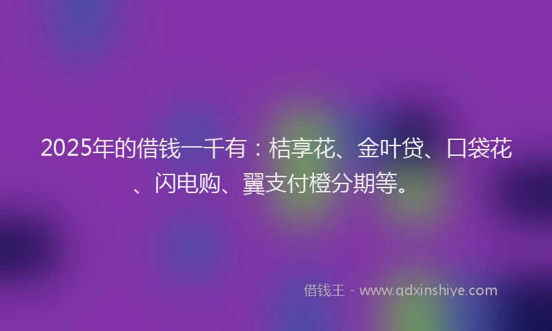 2025年的借钱一千有：桔享花、金叶贷、口袋花、闪电购、翼支付橙分期等。