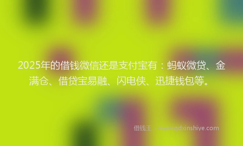 2025年的借钱微信还是支付宝有：蚂蚁微贷、金满仓、借贷宝易融、闪电侠、迅捷钱包等。