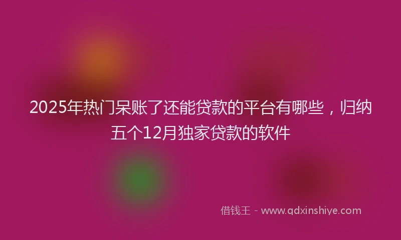 2025年热门呆账了还能贷款的平台有哪些，归纳五个12月独家贷款的软件