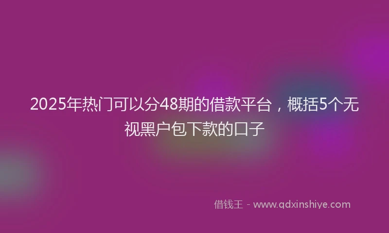 2025年热门可以分48期的借款平台，概括5个无视黑户包下款的口子