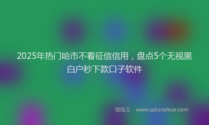 2025年热门哈市不看征信信用，盘点5个无视黑白户秒下款口子软件