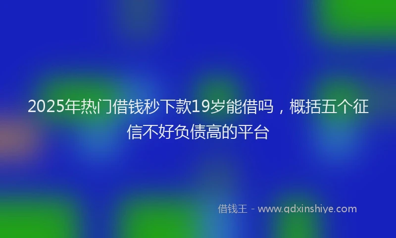 2025年热门借钱秒下款19岁能借吗，概括五个征信不好负债高的平台