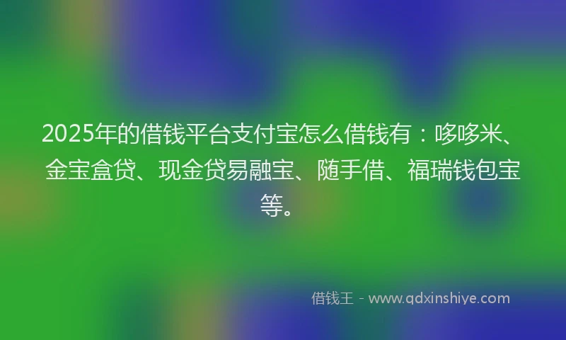 2025年的借钱平台支付宝怎么借钱有：哆哆米、金宝盒贷、现金贷易融宝、随手借、福瑞钱包宝等。