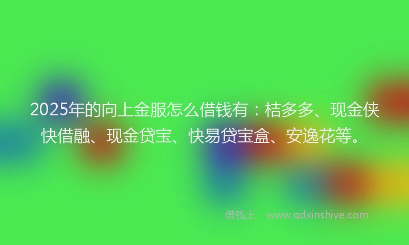 2025年的向上金服怎么借钱有：桔多多、现金侠快借融、现金贷宝、快易贷宝盒、安逸花等。