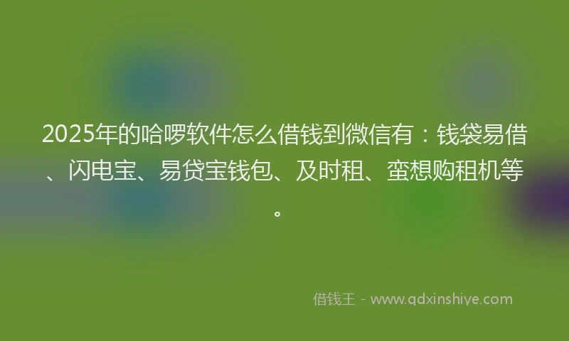 2025年的哈啰软件怎么借钱到微信有：钱袋易借、闪电宝、易贷宝钱包、及时租、蛮想购租机等。