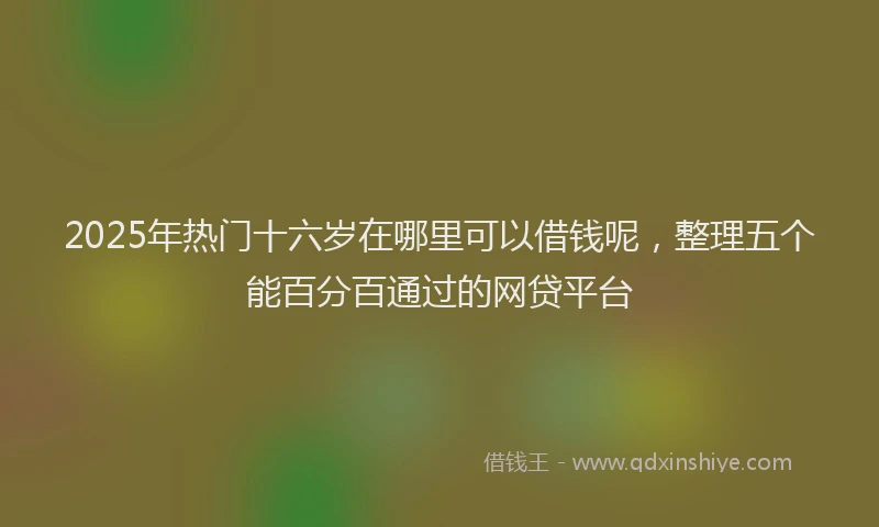 2025年热门十六岁在哪里可以借钱呢，整理五个能百分百通过的网贷平台