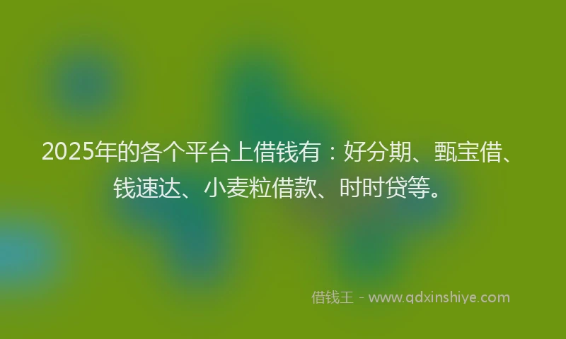 2025年的各个平台上借钱有：好分期、甄宝借、钱速达、小麦粒借款、时时贷等。