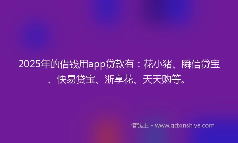 2025年的借钱用app贷款有：花小猪、瞬信贷宝、快易贷宝、浙享花、天天购等。