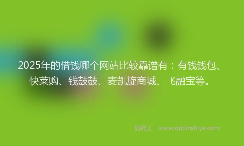2025年的借钱哪个网站比较靠谱有：有钱钱包、快莱购、钱鼓鼓、麦凯旋商城、飞融宝等。