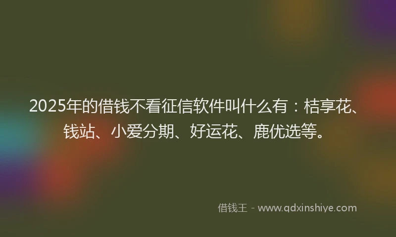 2025年的借钱不看征信软件叫什么有：桔享花、钱站、小爱分期、好运花、鹿优选等。