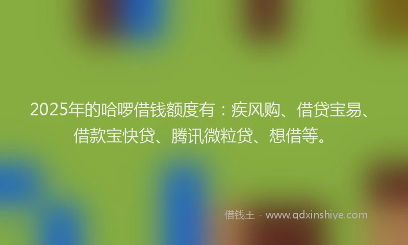 2025年的哈啰借钱额度有：疾风购、借贷宝易、借款宝快贷、腾讯微粒贷、想借等。