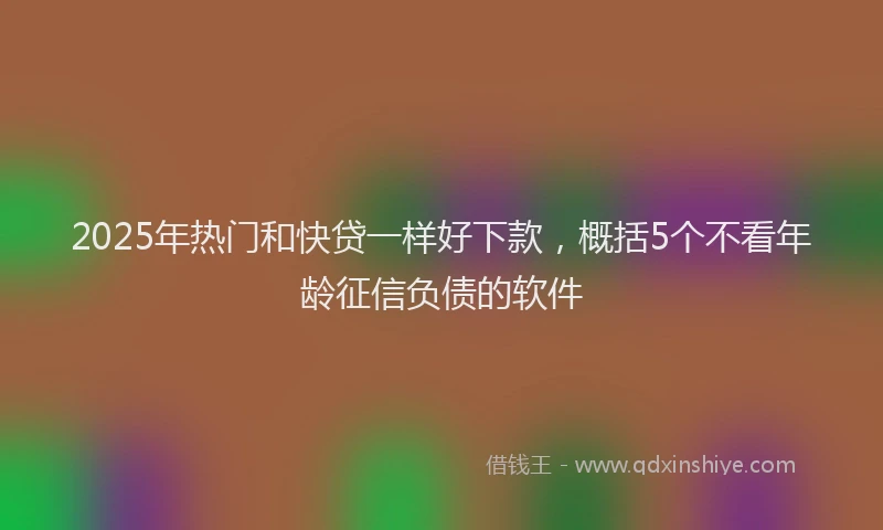 2025年热门和快贷一样好下款，概括5个不看年龄征信负债的软件