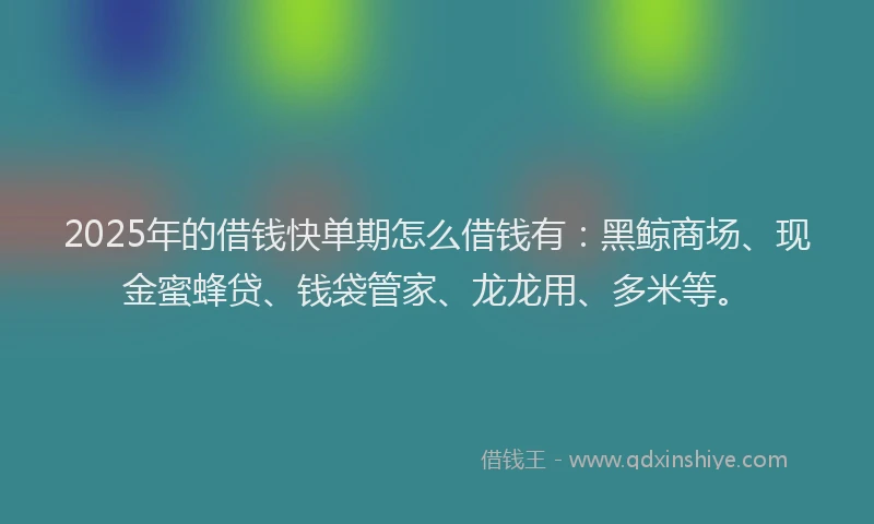 2025年的借钱快单期怎么借钱有：黑鲸商场、现金蜜蜂贷、钱袋管家、龙龙用、多米等。