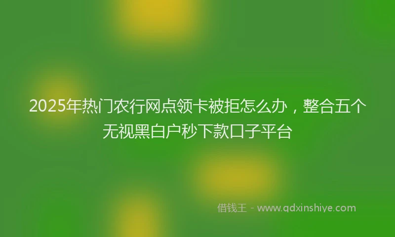 2025年热门农行网点领卡被拒怎么办，整合五个无视黑白户秒下款口子平台