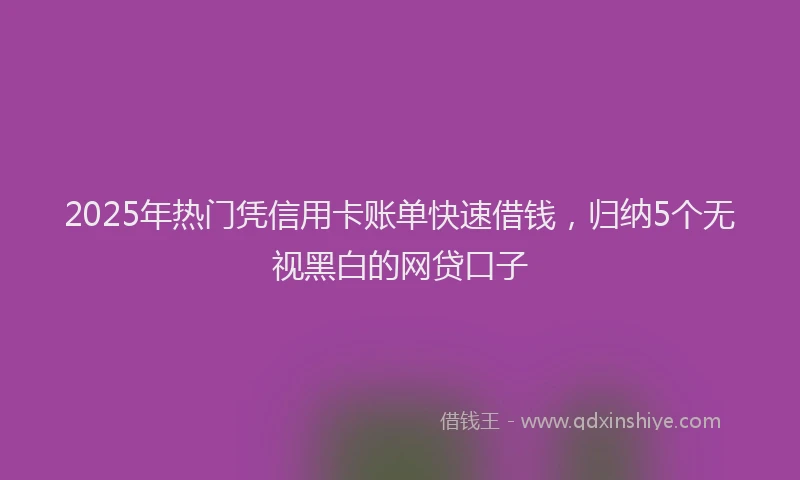 2025年热门凭信用卡账单快速借钱，归纳5个无视黑白的网贷口子