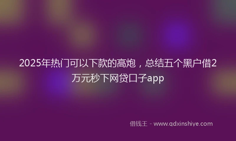 2025年热门可以下款的高炮，总结五个黑户借2万元秒下网贷口子app