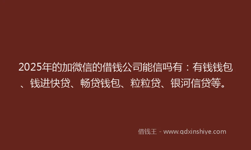 2025年的加微信的借钱公司能信吗有：有钱钱包、钱进快贷、畅贷钱包、粒粒贷、银河信贷等。