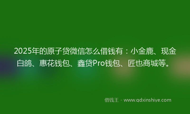 2025年的原子贷微信怎么借钱有：小金鹿、现金白鸽、惠花钱包、鑫贷Pro钱包、匠也商城等。