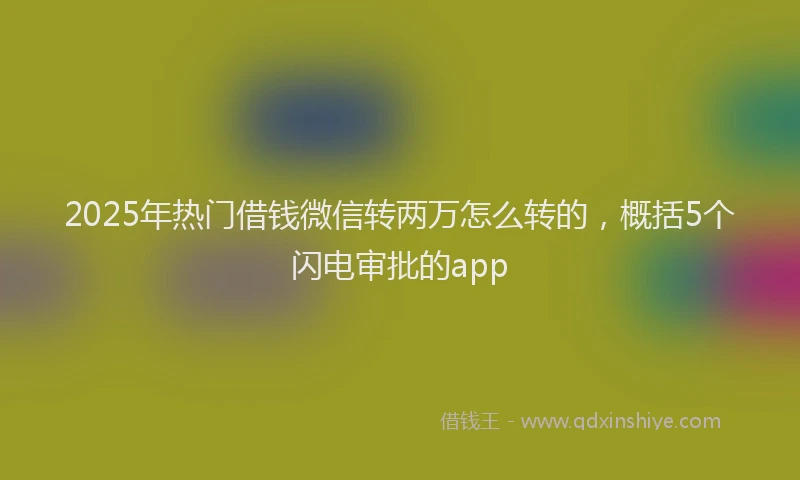 2025年热门借钱微信转两万怎么转的，概括5个闪电审批的app