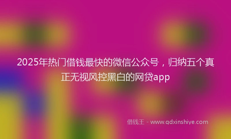 2025年热门借钱最快的微信公众号，归纳五个真正无视风控黑白的网贷app