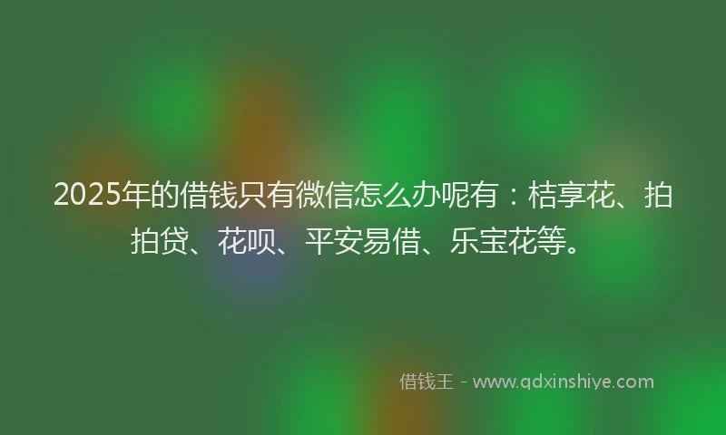 2025年的借钱只有微信怎么办呢有：桔享花、拍拍贷、花呗、平安易借、乐宝花等。