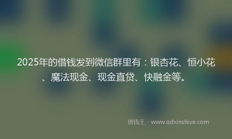 2025年的借钱发到微信群里有：银杏花、恒小花、魔法现金、现金直贷、快融金等。