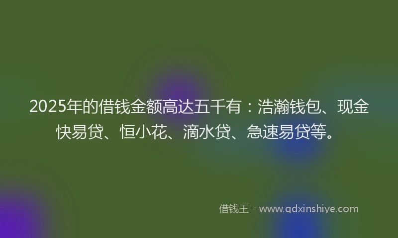2025年的借钱金额高达五千有：浩瀚钱包、现金快易贷、恒小花、滴水贷、急速易贷等。