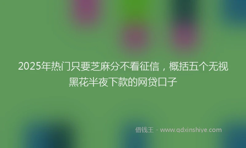 2025年热门只要芝麻分不看征信，概括五个无视黑花半夜下款的网贷口子