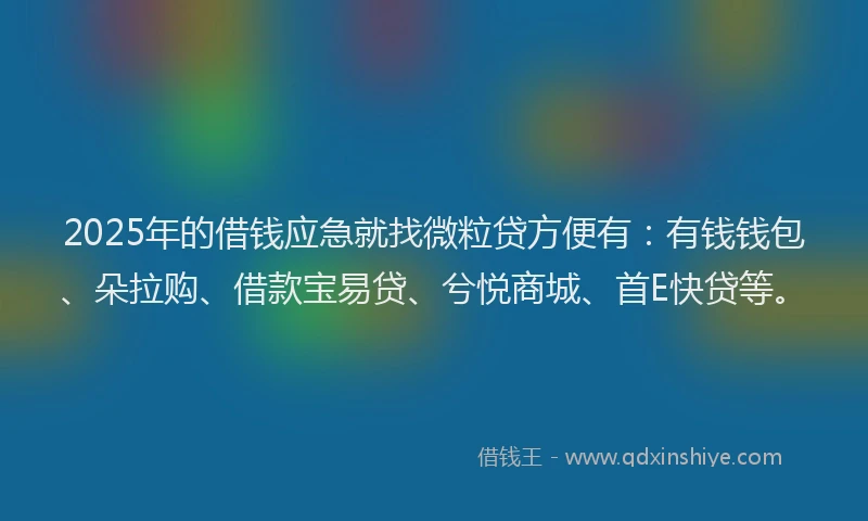 2025年的借钱应急就找微粒贷方便有：有钱钱包、朵拉购、借款宝易贷、兮悦商城、首E快贷等。