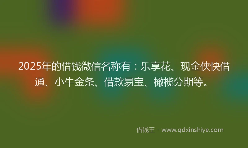 2025年的借钱微信名称有：乐享花、现金侠快借通、小牛金条、借款易宝、橄榄分期等。
