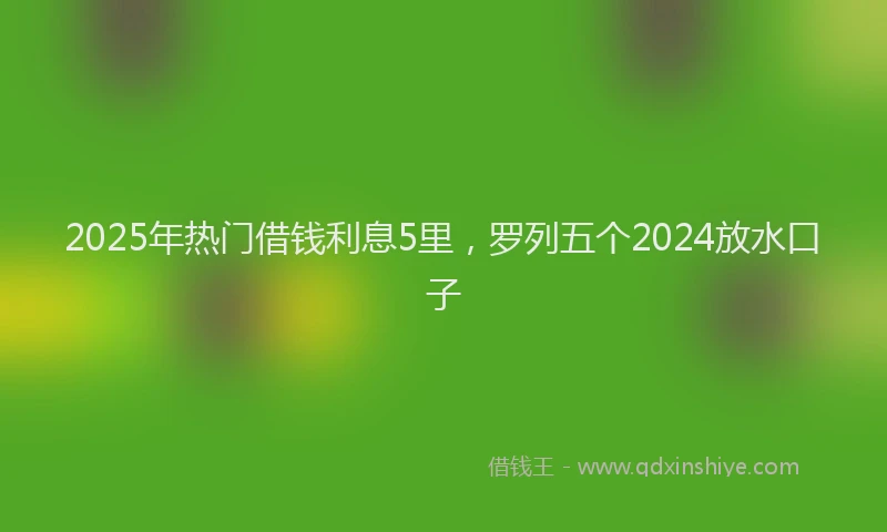 2025年热门借钱利息5里，罗列五个2024放水口子