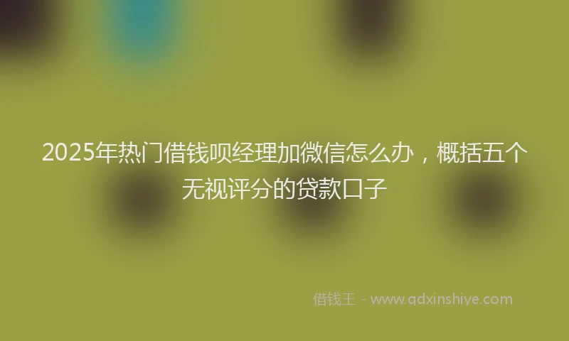 2025年热门借钱呗经理加微信怎么办，概括五个无视评分的贷款口子