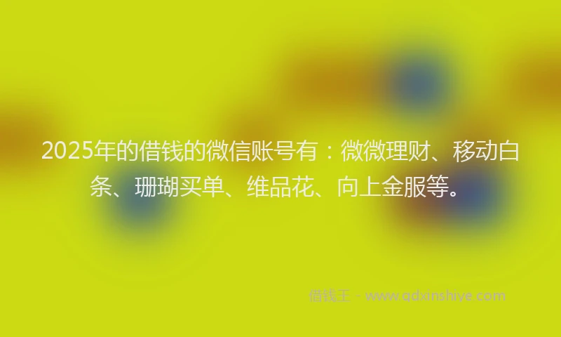 2025年的借钱的微信账号有：微微理财、移动白条、珊瑚买单、维品花、向上金服等。