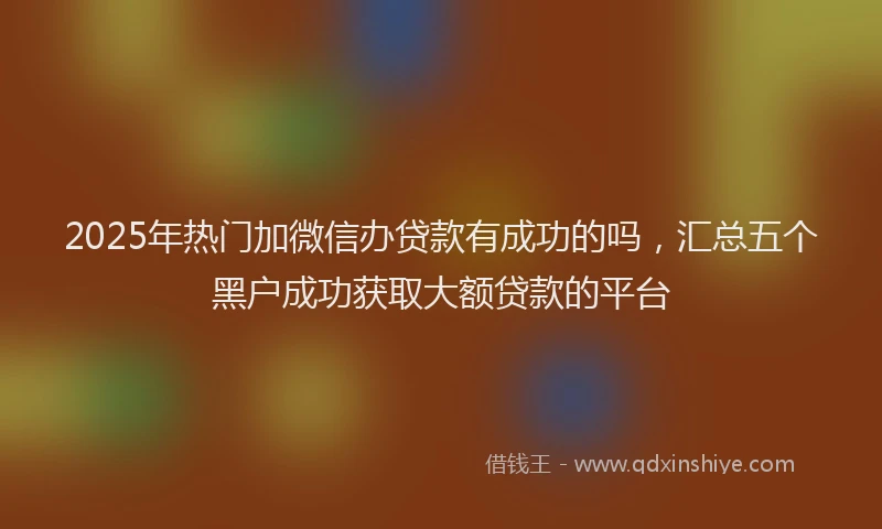 2025年热门加微信办贷款有成功的吗，汇总五个黑户成功获取大额贷款的平台