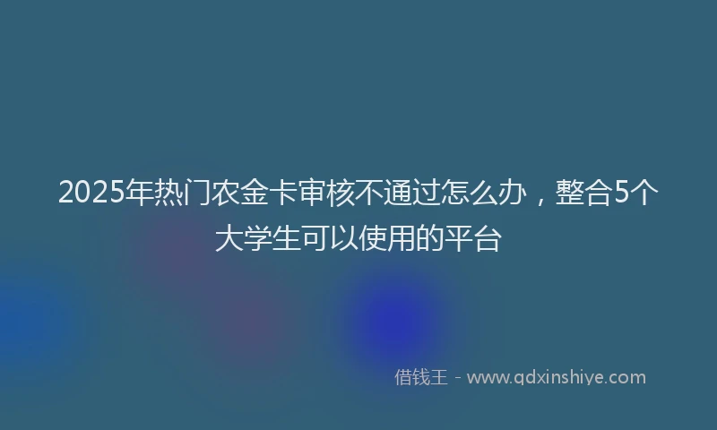 2025年热门农金卡审核不通过怎么办，整合5个大学生可以使用的平台