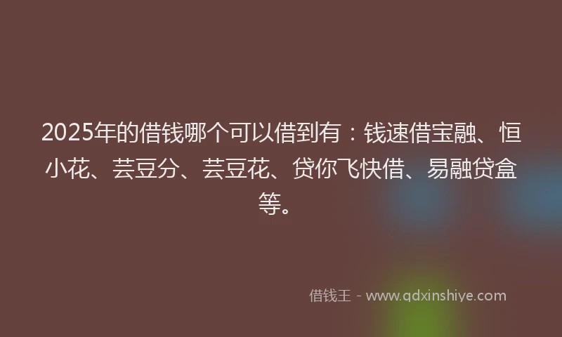 2025年的借钱哪个可以借到有：钱速借宝融、恒小花、芸豆分、芸豆花、贷你飞快借、易融贷盒等。