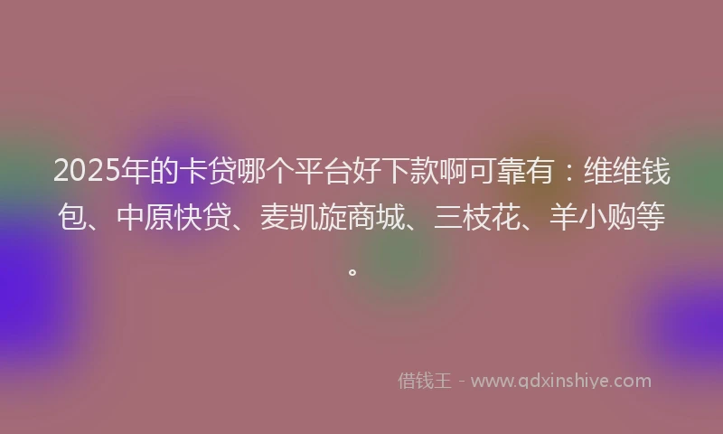 2025年的卡贷哪个平台好下款啊可靠有:维维钱包、中原快贷、麦凯旋商城、三枝花、羊小购等。