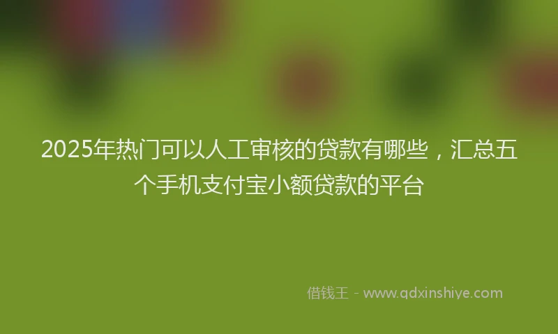 2025年热门可以人工审核的贷款有哪些，汇总五个手机支付宝小额贷款的平台