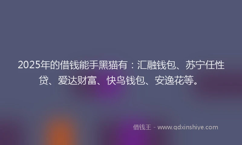 2025年的借钱能手黑猫有：汇融钱包、苏宁任性贷、爱达财富、快鸟钱包、安逸花等。