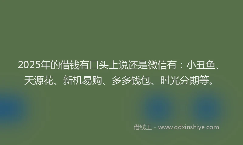 2025年的借钱有口头上说还是微信有：小丑鱼、天源花、新机易购、多多钱包、时光分期等。