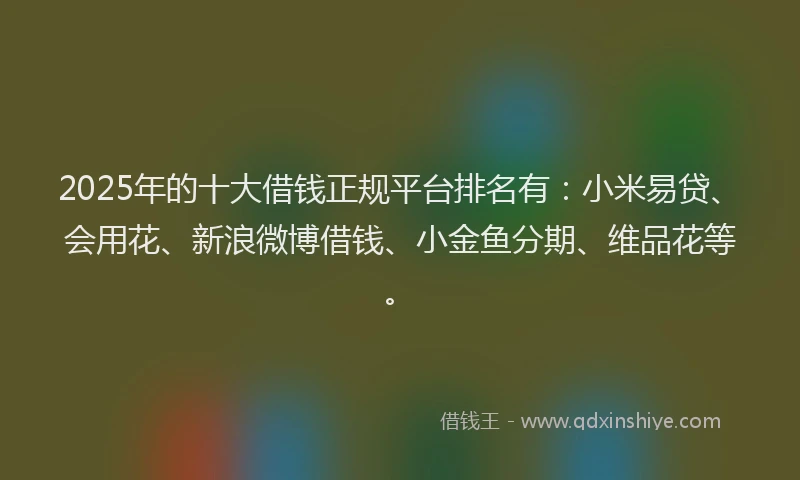 2025年的十大借钱正规平台排名有：小米易贷、会用花、新浪微博借钱、小金鱼分期、维品花等。