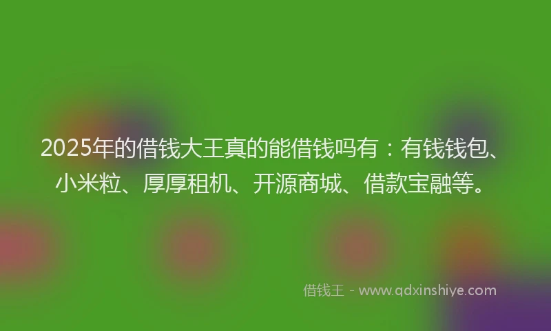 2025年的借钱大王真的能借钱吗有：有钱钱包、小米粒、厚厚租机、开源商城、借款宝融等。