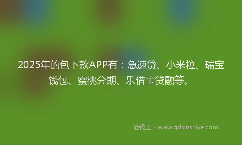 2025年的包下款APP有：急速贷、小米粒、瑞宝钱包、蜜桃分期、乐借宝贷融等。