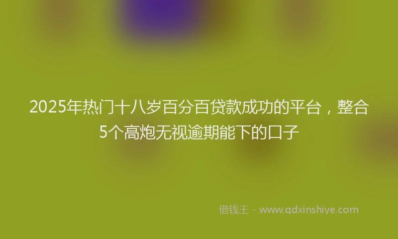 2025年热门十八岁百分百贷款成功的平台，整合5个高炮无视逾期能下的口子